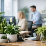 Plantas de interior para oficinas que sí funcionan