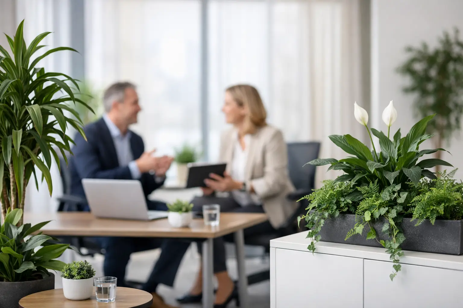 Opiniones sobre renting vegetal empresarial