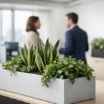 Cómo elegir jardineras para oficinas con criterio