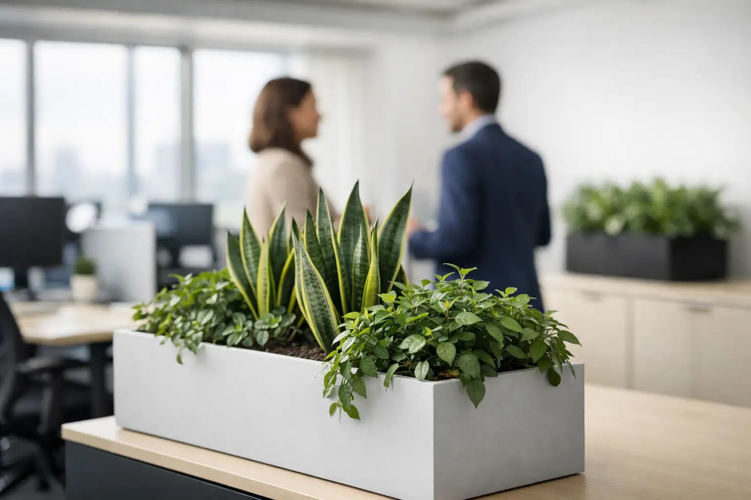 Cómo elegir jardineras para oficinas con criterio
