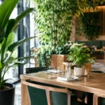 Las mejores plantas para restaurantes con estilo